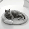 Cooling Pet Ice Pad