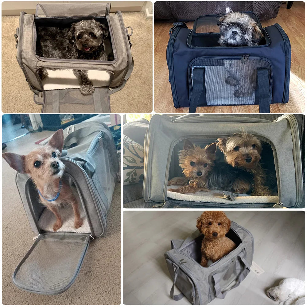 Soft Side Pet Carrier